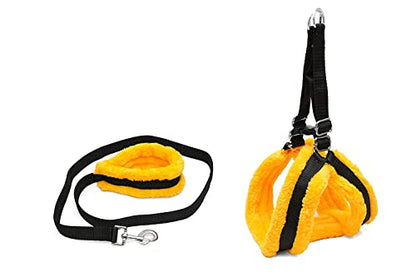 Dog Leash For Puppy With Harness