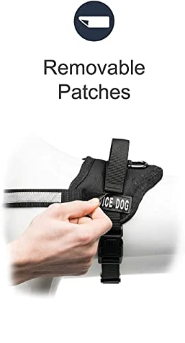 No Pull Dog Harness