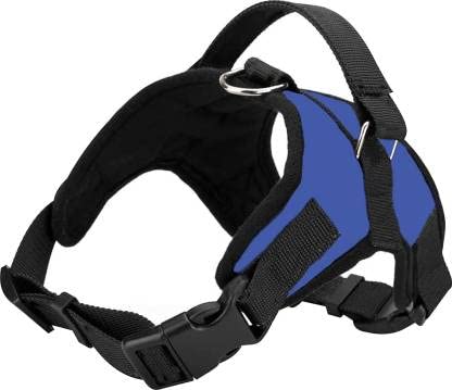 Dog Harness and Leash for Pets