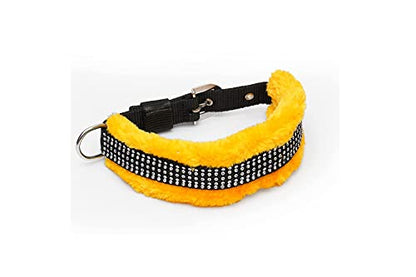 Dog Leash For Puppy With Harness