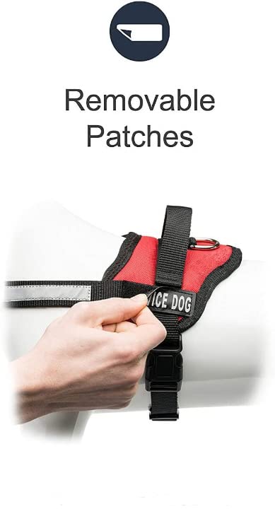 No Pull Dog Harness