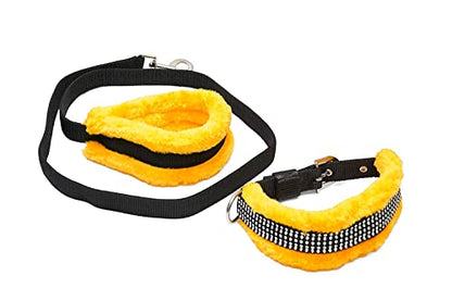 Dog Leash For Puppy With Harness