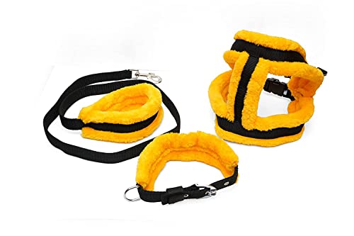 Dog Leash For Puppy With Harness