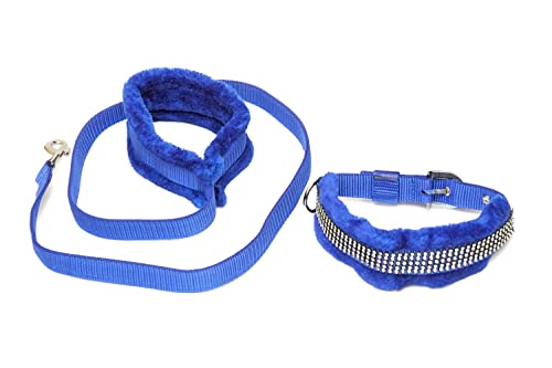 Harness For Dog With Adjustable Leash