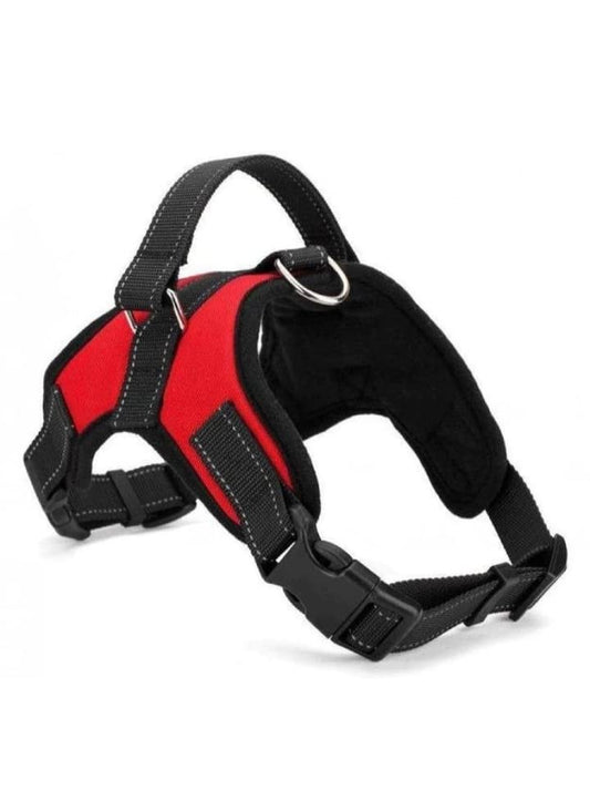 Dog Harness and Leash for Pets