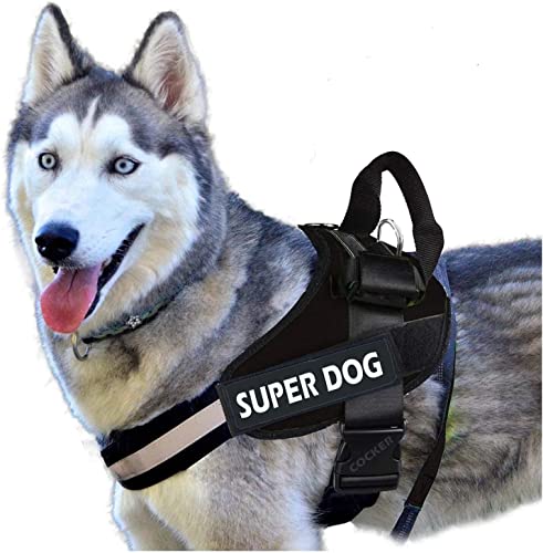 No Pull Dog Harness for Large Dogs|