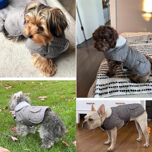 Premium Cotton Dog Jacket